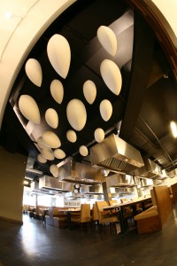 Little Sheep Flushing 